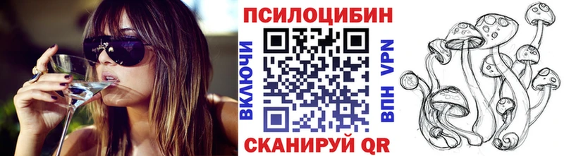 цены   Димитровград  Псилоцибиновые грибы Cubensis 